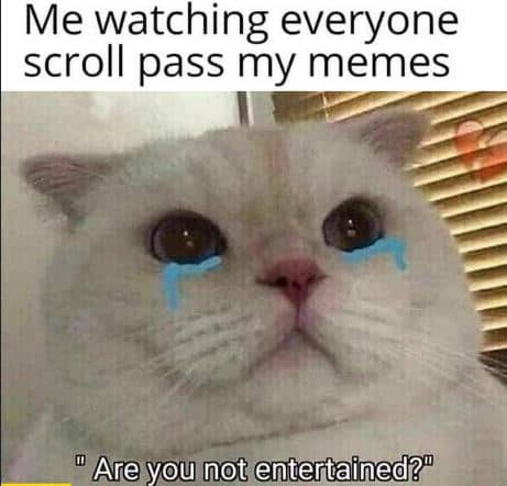 Crying Cat Meme
