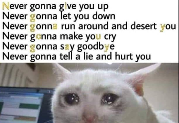 Crying Cat Memes