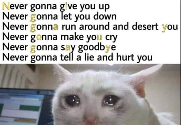 Crying Cat Meme Just For Fun-Memes Point