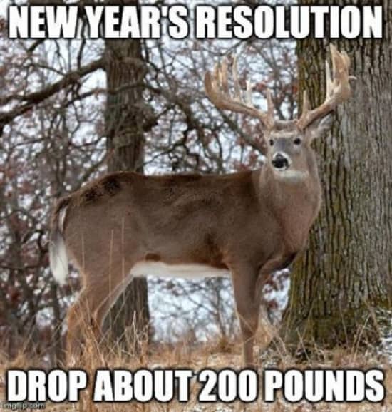 funny deer hunting memes